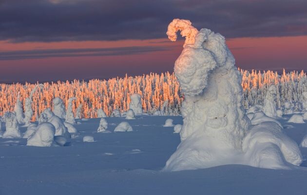 Lappland – Skandinaviens wilder Norden