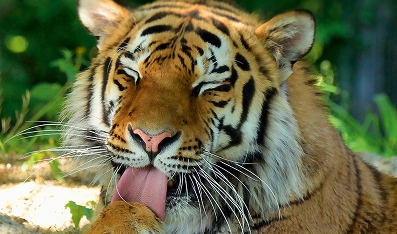 Münchener Tierpark Hellabrunn