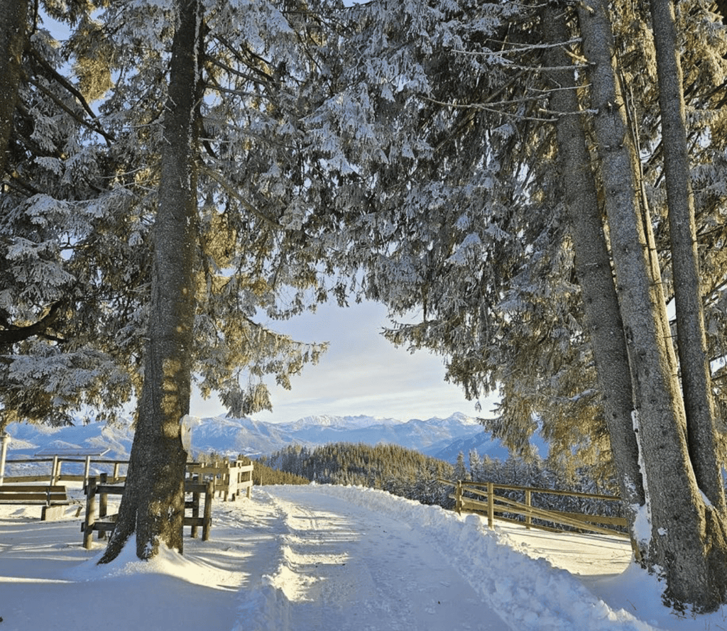 Skigebiet München: Blomberg / Bad Tölz