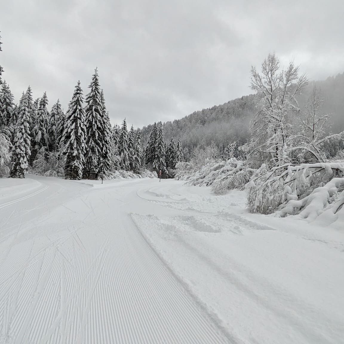 Skigebiet München: Sudelfeld / Bayrischzell