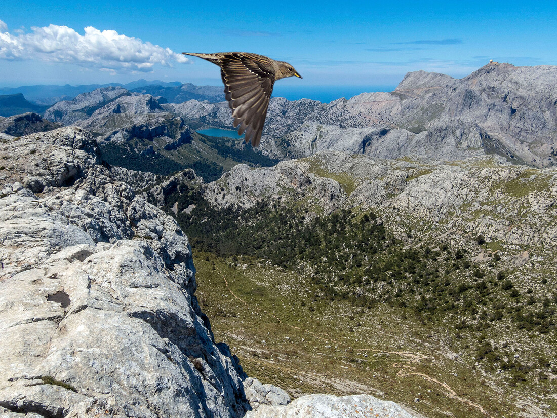 Mallorca zu Fuß