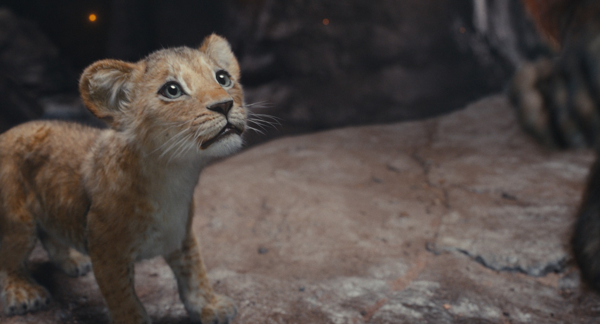 Bilder aus Mufasa: Der König der Löwen