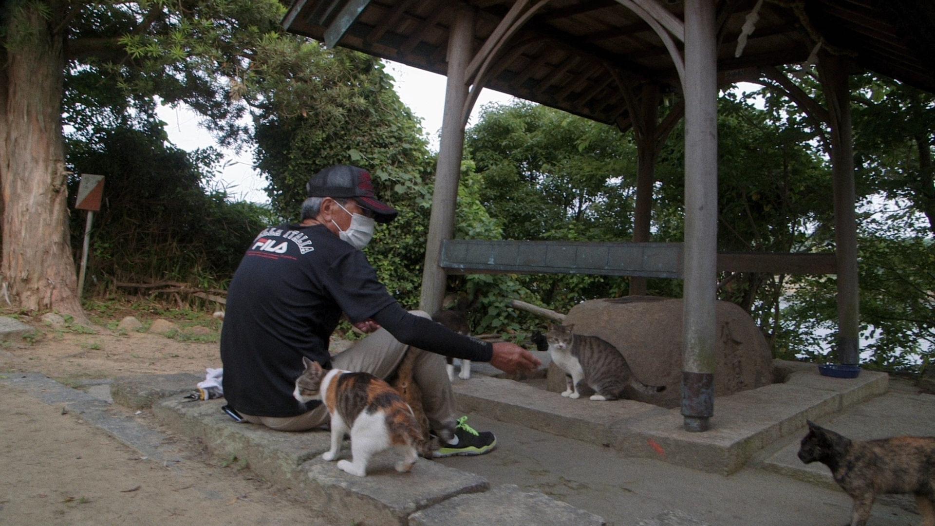 Bilder aus Die Katzen vom Gokogu-Schrein