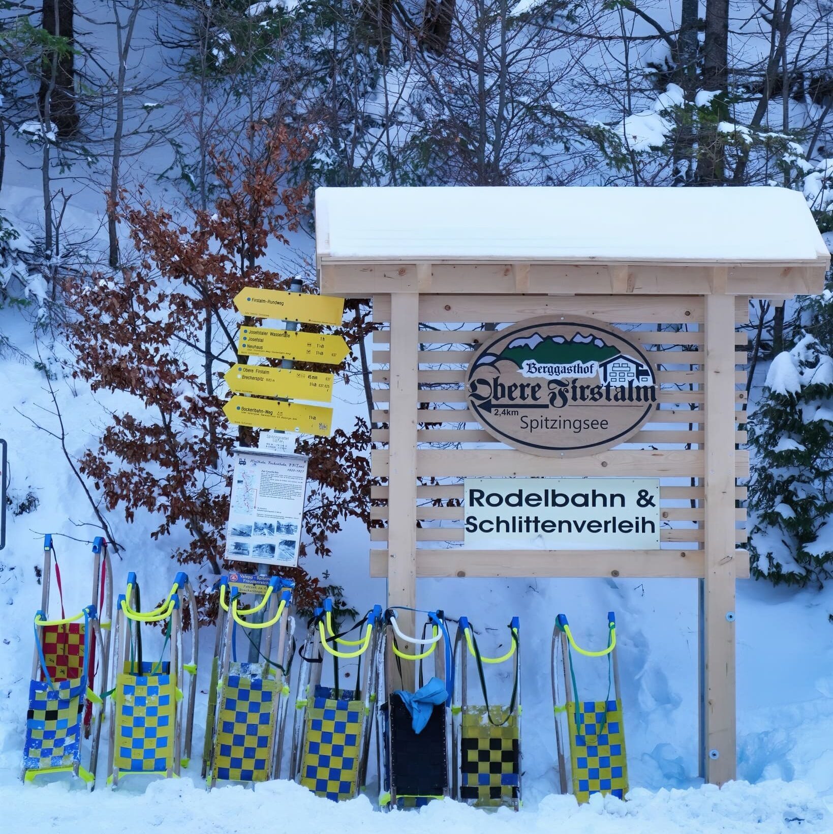 Schlittenfahren und Rodeln in und um München: Nachtrodeln am Spitzingsee