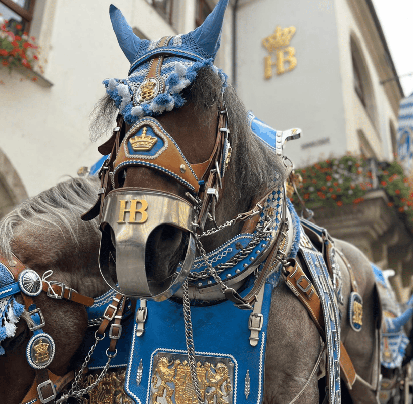 Weißwurstfrühstück München: Hofbräuhaus