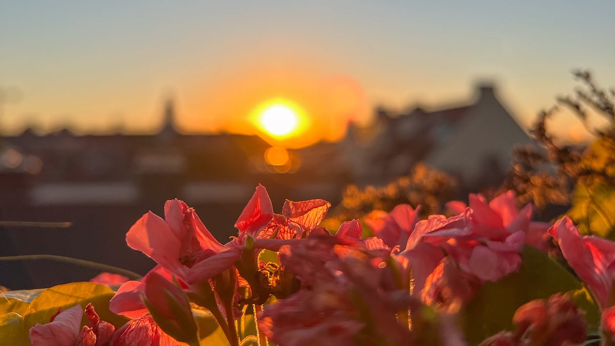 Sonnenuntergang anschauen auf Münchens Rooftop Bars