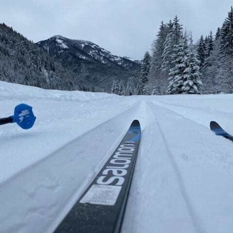 Skigebiet München: Sudelfeld / Bayrischzell