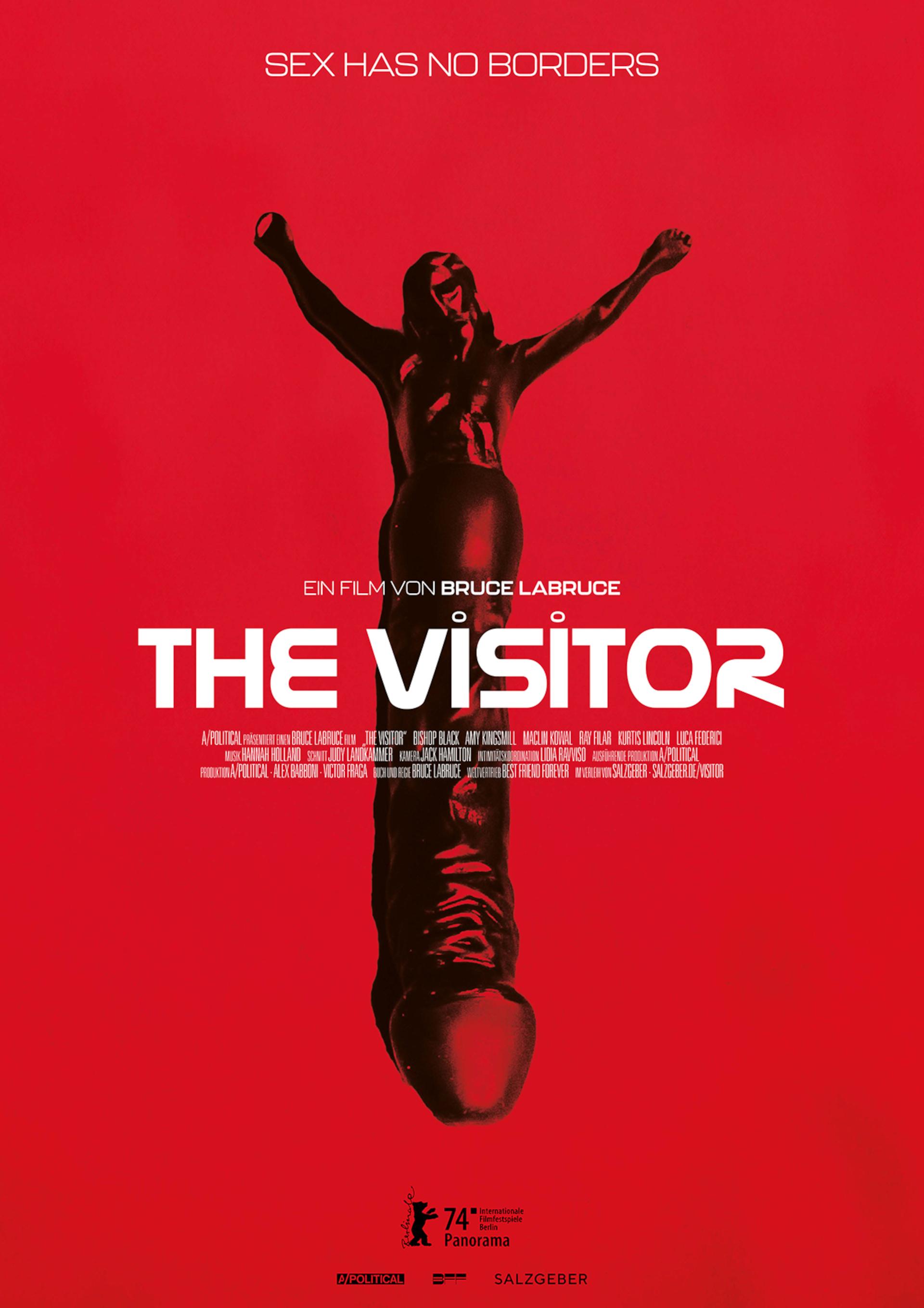 The Visitor