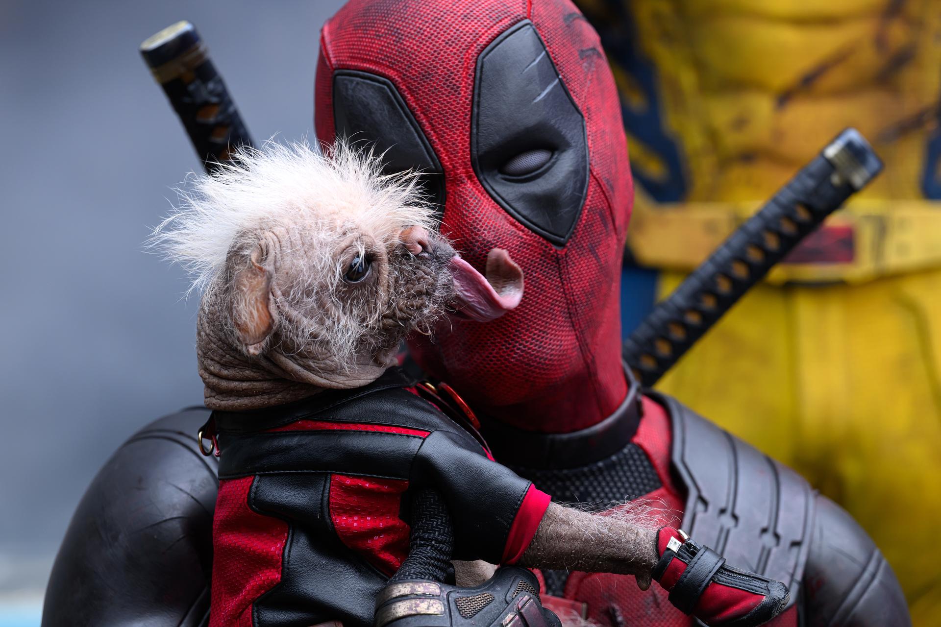 Bilder aus Deadpool & Wolverine (ukrainische Fassung)