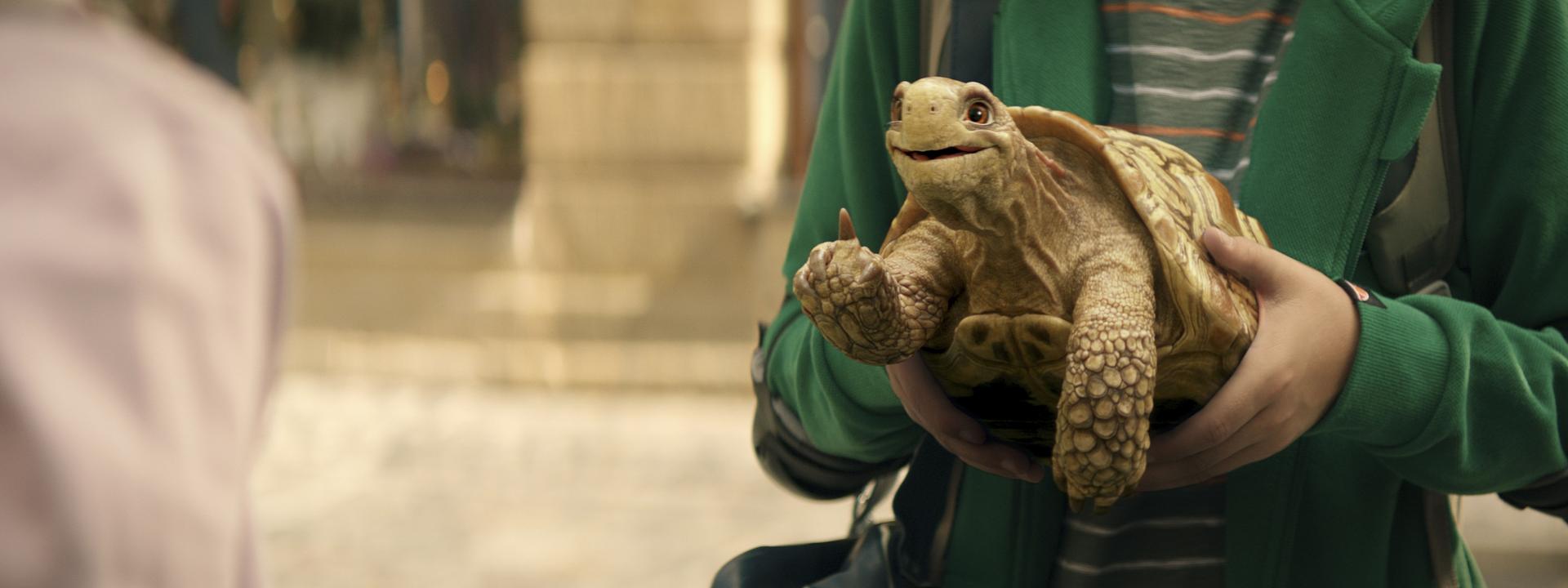 Bilder aus Die Schule der magischen Tiere 2