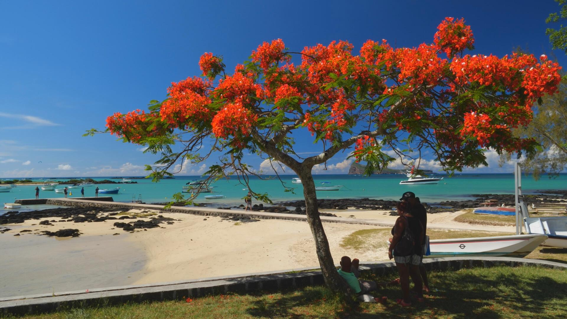 Bilder aus Mauritius - Die Fernwehmacher unterwegs im Tropenparadies