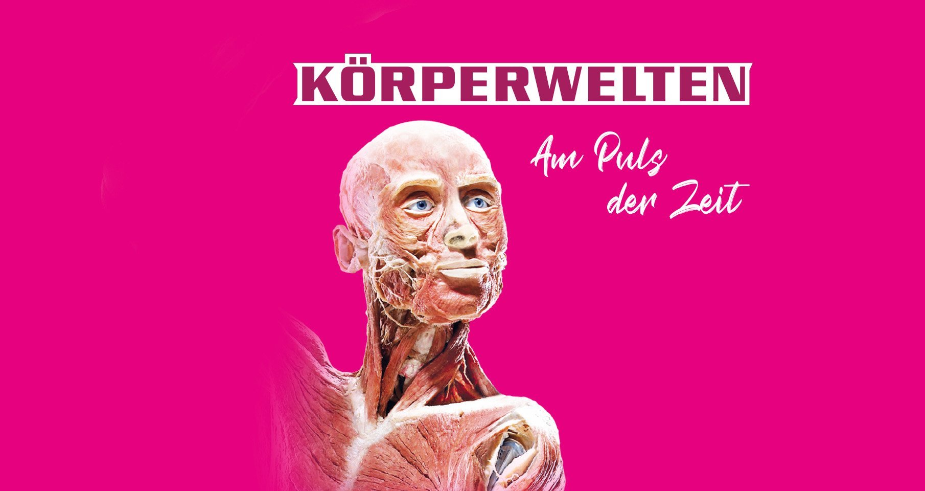 KÖRPERWELTEN Am Puls der Zeit