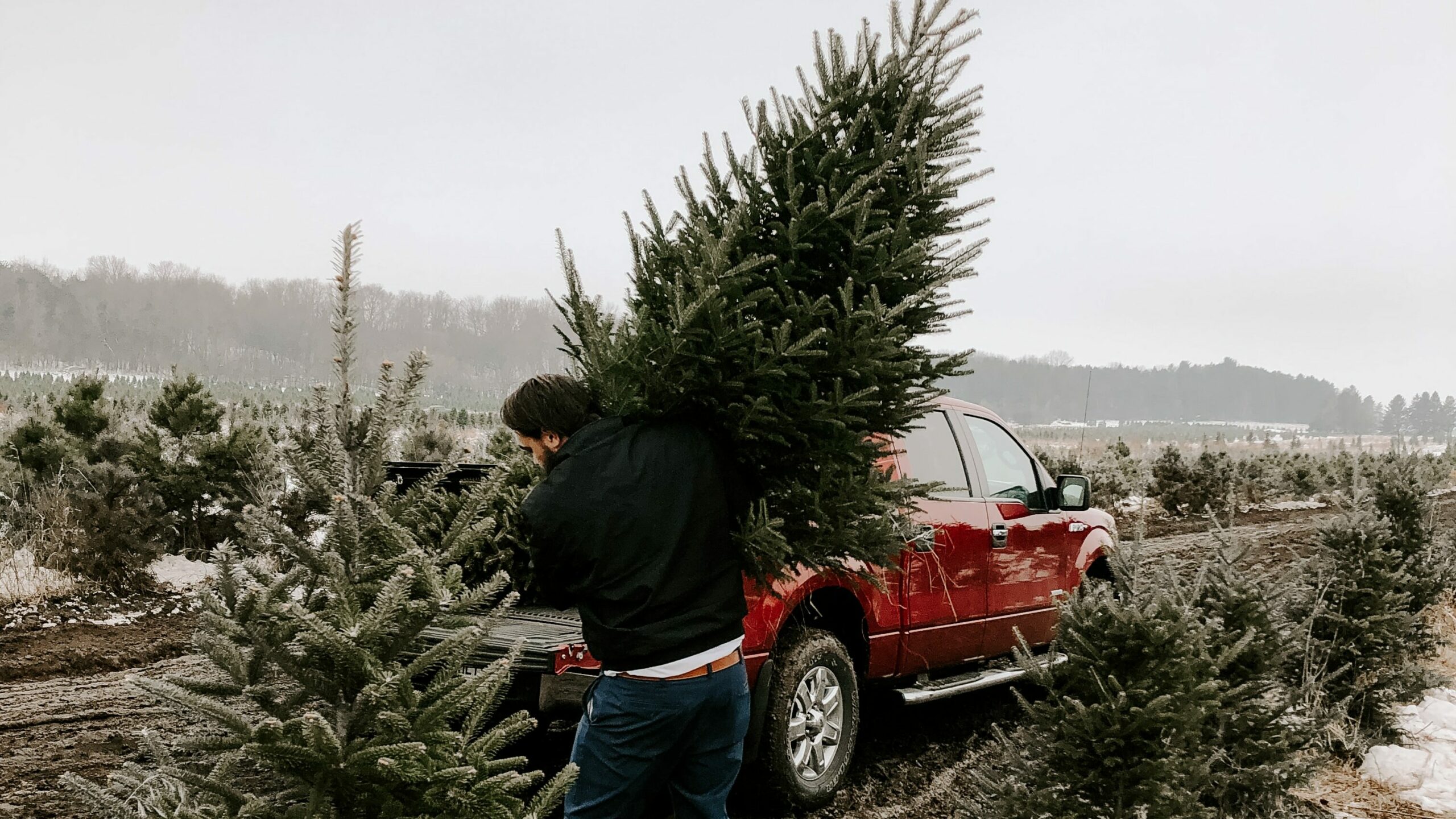 Weihnachtsbaum in und um München – unsere Tipps zum Kaufen, selbst Schlagen und Mieten