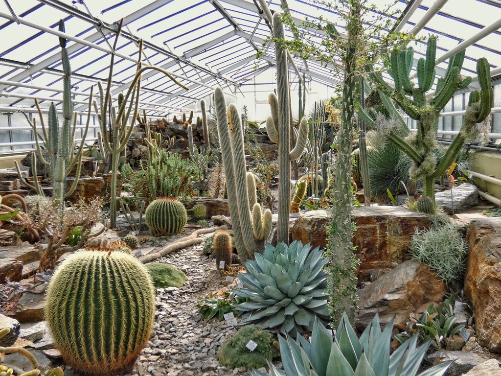 Botanischer Garten München: Gewächshaus, Kakteenhaus