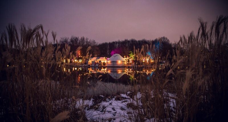 Winterzauber Gans am Wasser