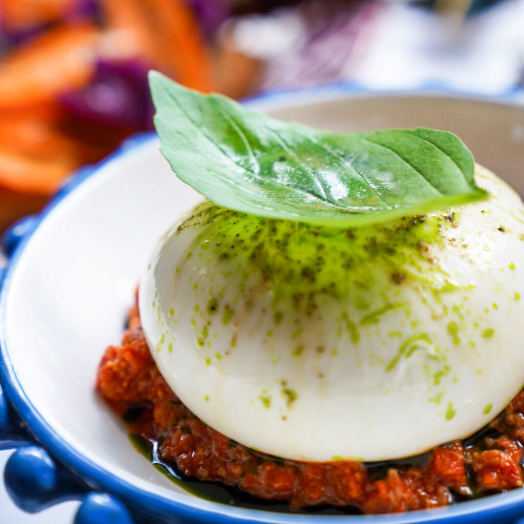 Burrata auf Pappa al pomodoro