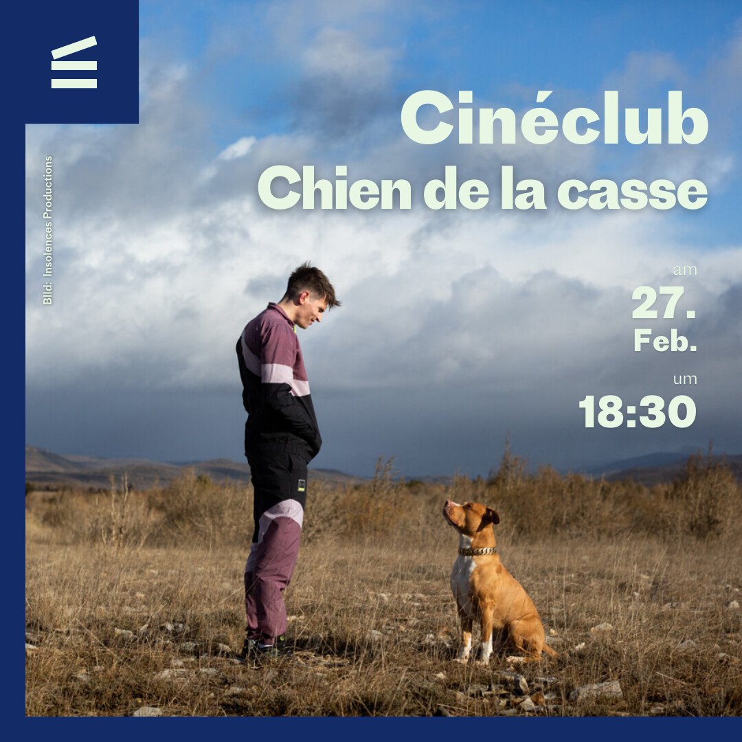 Cinéclub: Chien de la casse