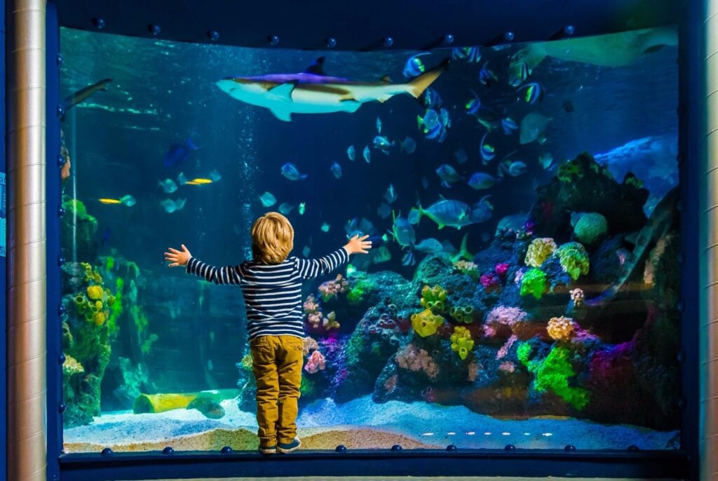 Sea Life München: Panorama