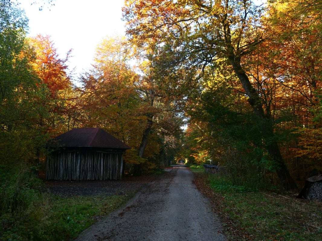 Walderlebniszentrum Grünwald: Walderlebnispfad