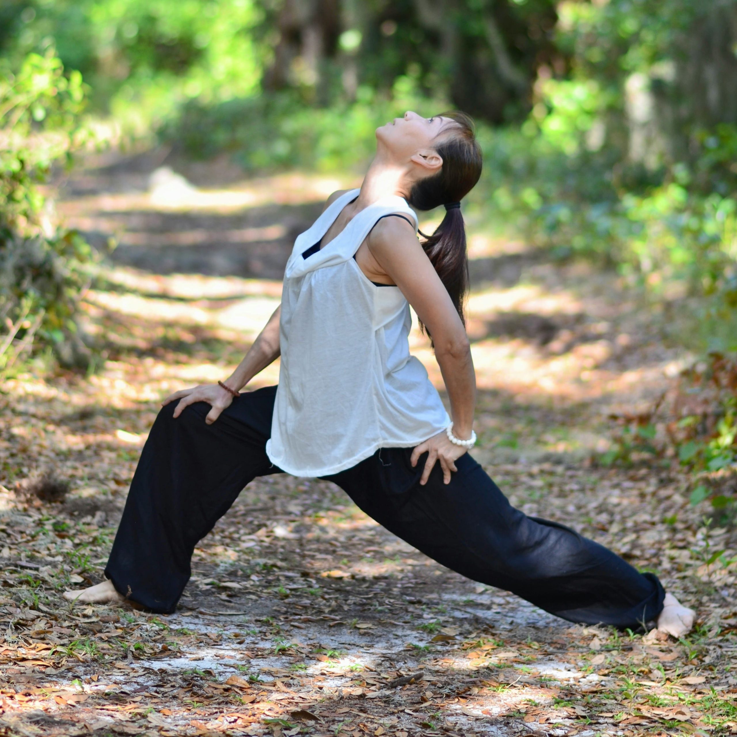 Freizeitsport München / Fit im Park / Hallensport München: Qi Gong