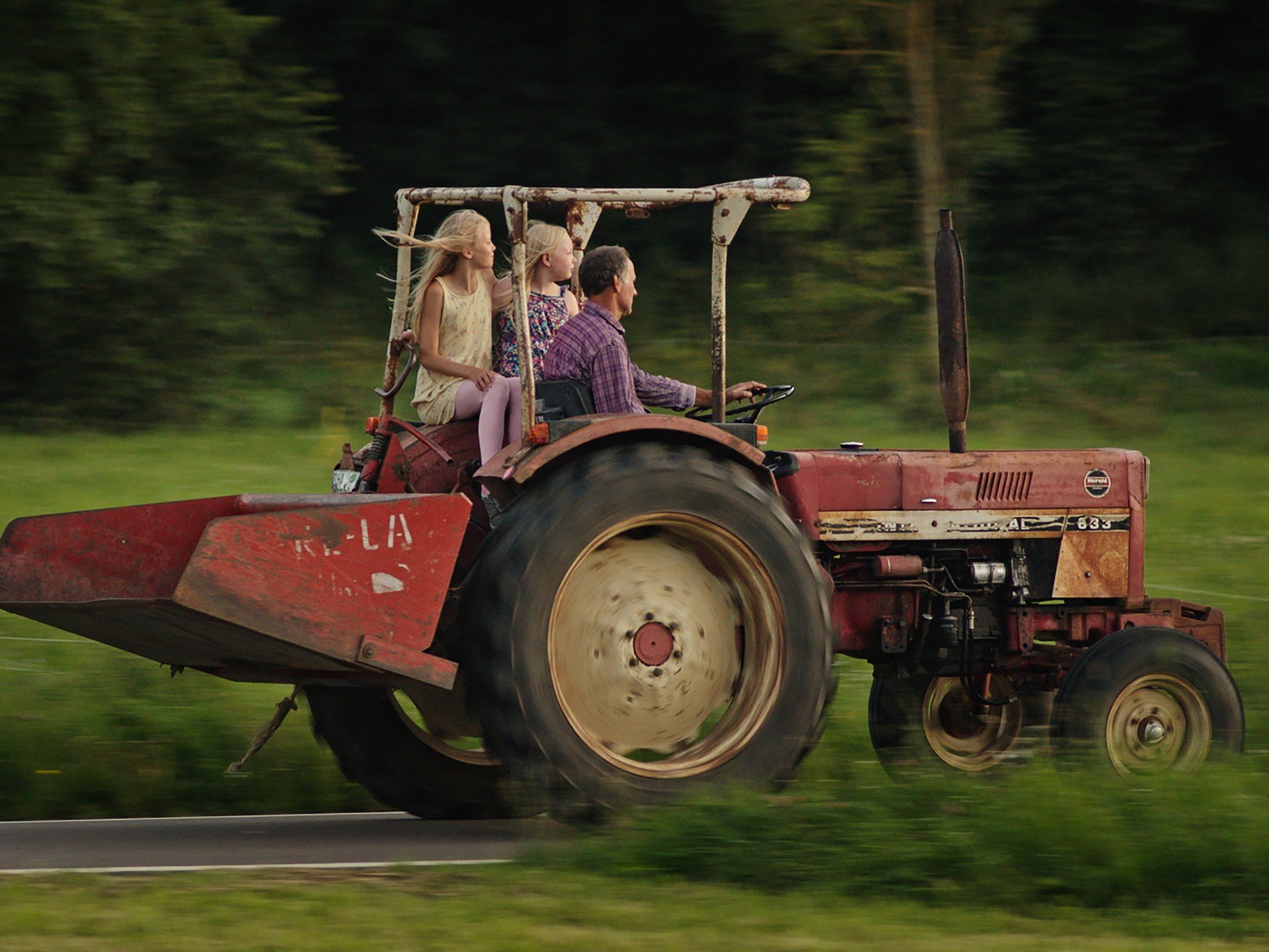 Bilder aus Milch ins Feuer