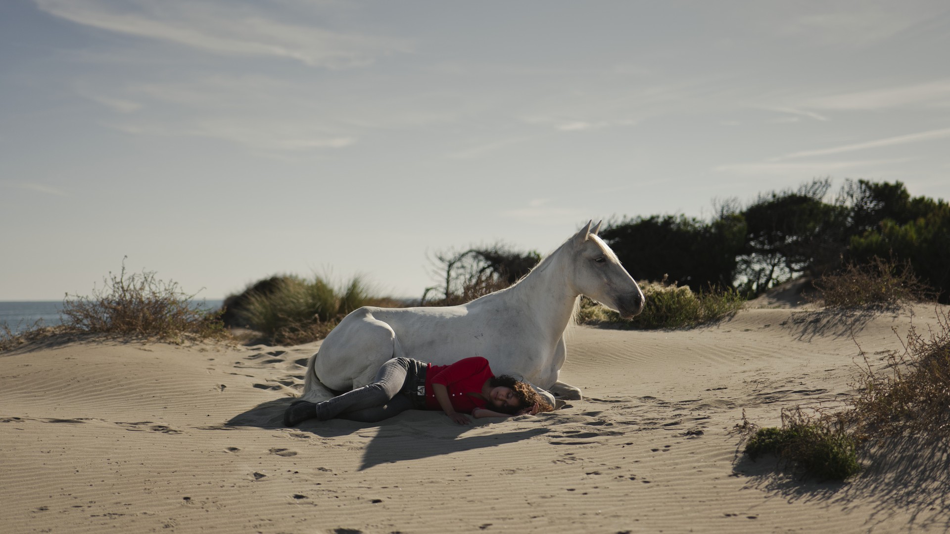 Bilder aus Animale