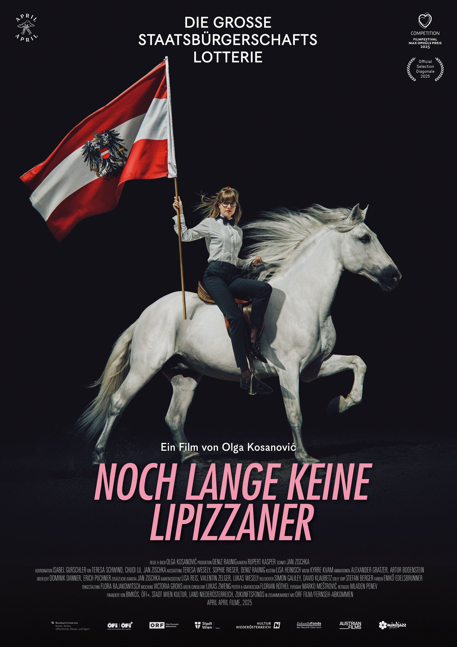 Noch lange keine Lipizzaner