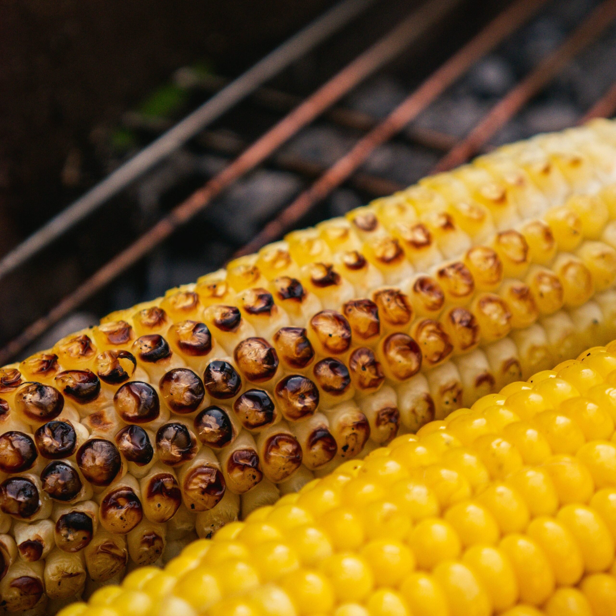 Grillen in München: Mais