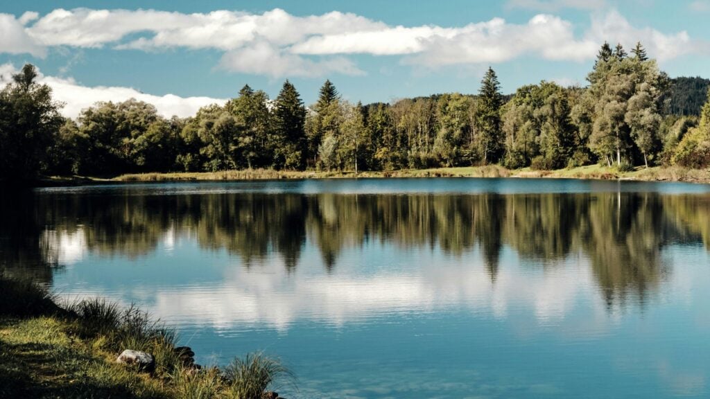 FKK München: Birkensee